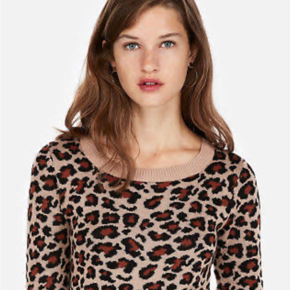 Express Leopard Print Women's Sweater